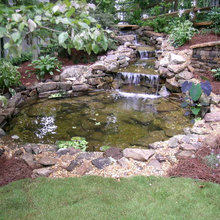 Tracie landscaping