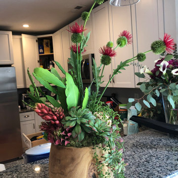 Custom Succulent Arrangements
