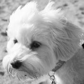 Robyn Miyagawa's photo
