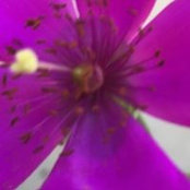 Marla Roberts's photo