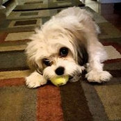 Ellyn Bliesener's photo