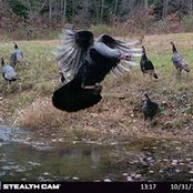 Foto von Richard Mooney