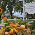Peabody Landscape Group's profile photo