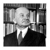 Foto von wieselwort