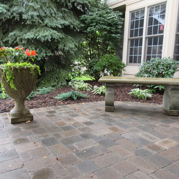 Landscape Renovation