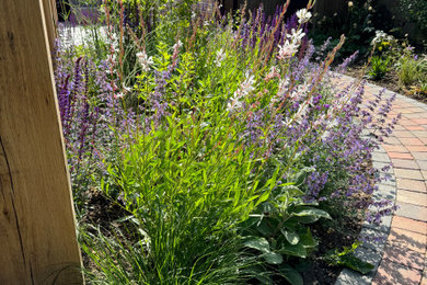 Photo of a garden in Hertfordshire.