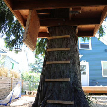 Custom Tree House