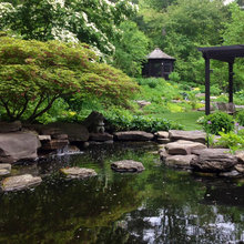 Water Feature