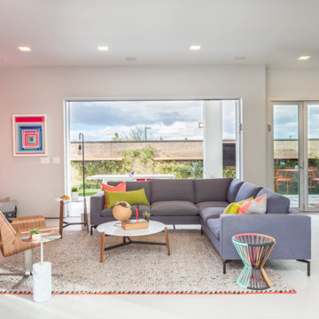 Contemporary Transitional Home