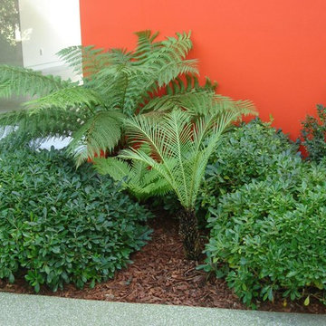 Remarkable Gardens