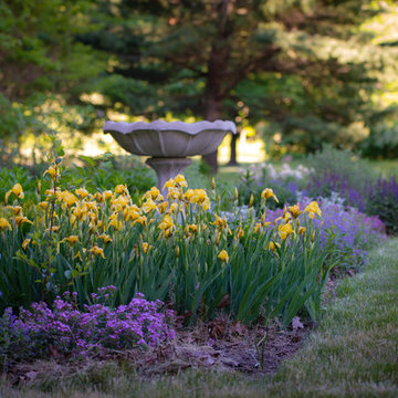 Birdbath in late spring