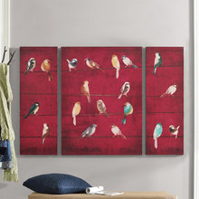 haley_phillips11's ideas