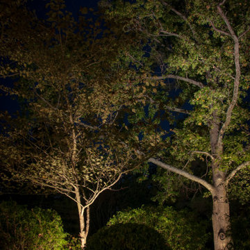 Landscape Lighting Adds Outdoor Magic to Stately Ohio Home