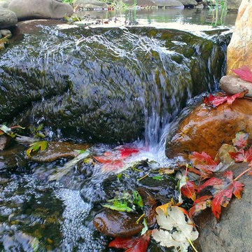 Ponds & Streams