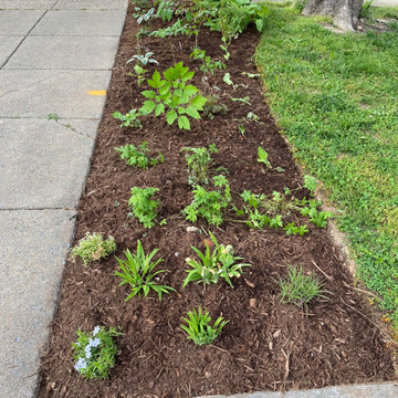 Natives and Edibles in Northwest