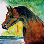 Betsy Drake - Prize Horse Door Mat 30x50 - These decorative floor mats are made with a synthetic, low pile washable material that will stand up to years of wear. They have a non-slip rubber backing and feature art made by artists Dick Hamilton and Betsy Drake of Betsy Drake Interiors. All of our items are made in the USA. Our small door mats measure 18x26 and our larger mats measure 30x50. Enjoy a colorful design that will last for years to come.