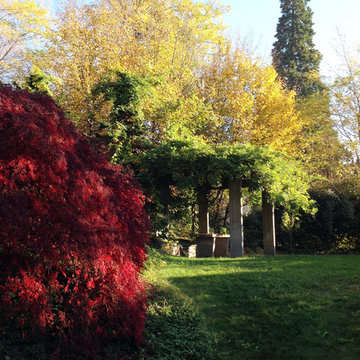 Park on the Lake of Orta
