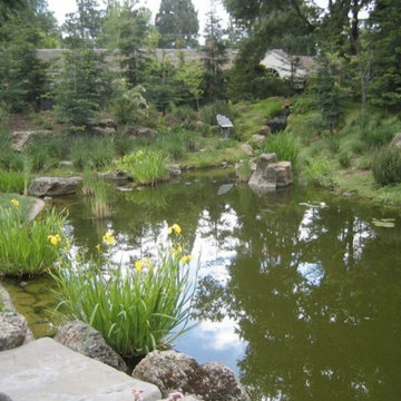 Nature meets Design