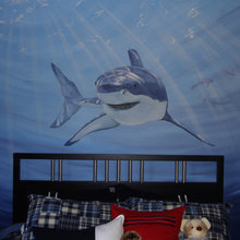 shark