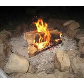 Udy C Wyatt's photo