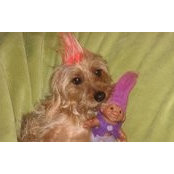 Becky Grayson's photo