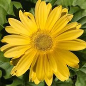 Beckie Dobes's photo