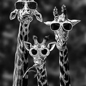 Nancy Cheney's photo