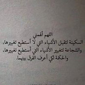 Noha Younis's photo