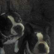 Susie Edick's photo