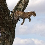 John King's photo