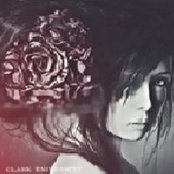 Foto von Violet Princess A