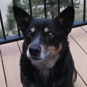 Donna Marino's photo