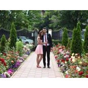 Cornelia Marcu's photo