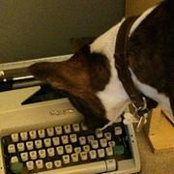 Marsh Richards's photo