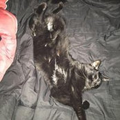 Naomi Barber's photo