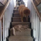 Shirley Towne's photo