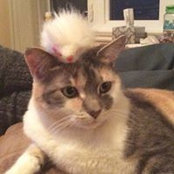 Anne Ruest's photo