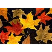 Wendy Reed-Barayseh's photo
