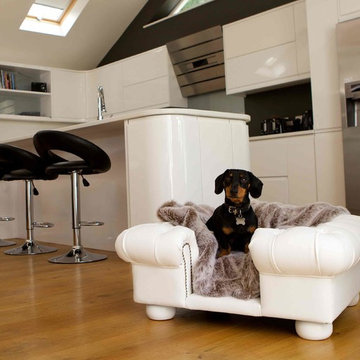 Contemporary kitchen