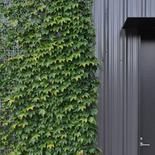 Exterior Ideas