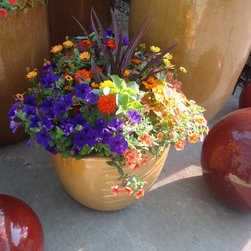 Containers - Products