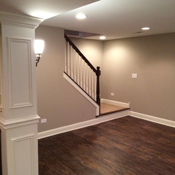 Elburn Lower Level