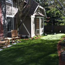 Front yard