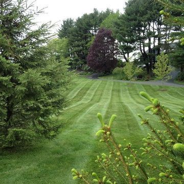 Landscape Maintenance Lawn Maintenance