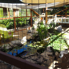 cat enclosures