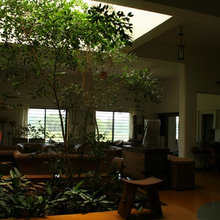 ada_welch's ideas