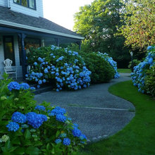 Outdoor ideas