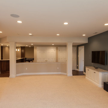 Basement Remodel