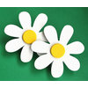 White Daisy Quilt Clips set of 2