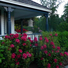 Cottage Garden